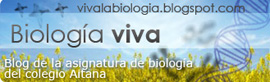 vivalabiologia.blogspot.com